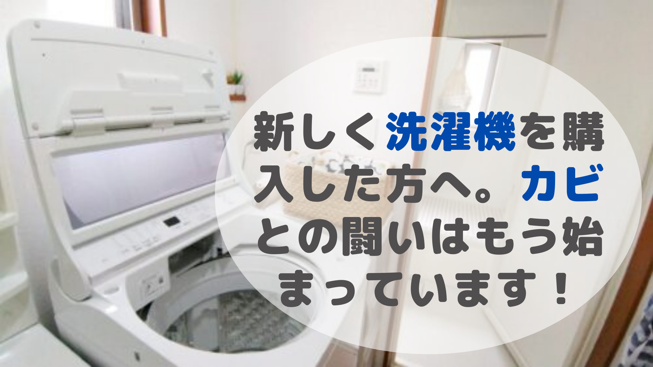洗濯機は新品のうちからカビ予防を！毎日のお手入れルーティン | 毎日主婦